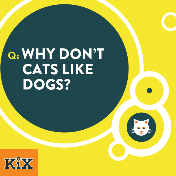 KixKid Cats Question