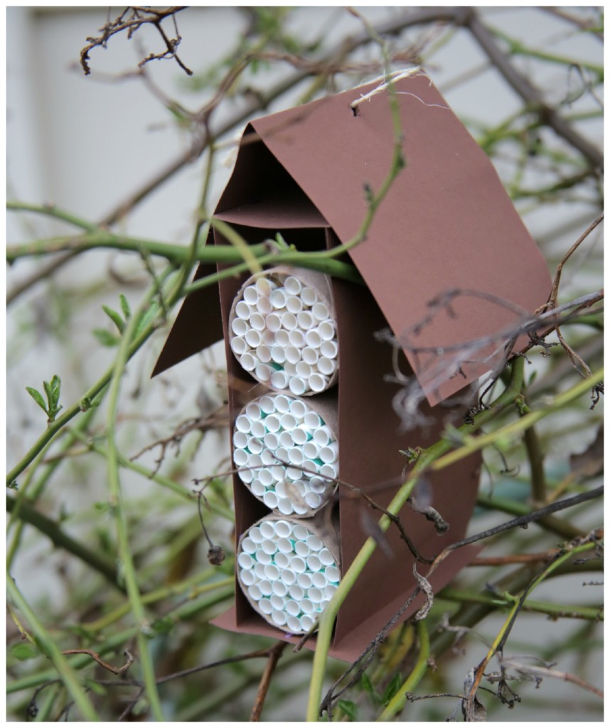 DIY Bee Condo craft - help kids save honeybees