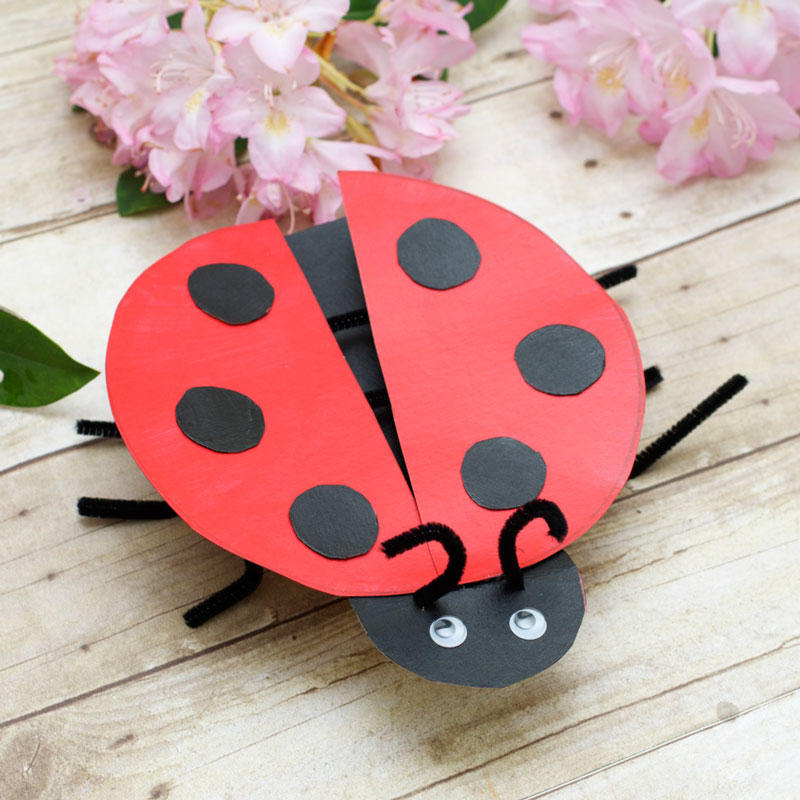 Cereal box lady bug
